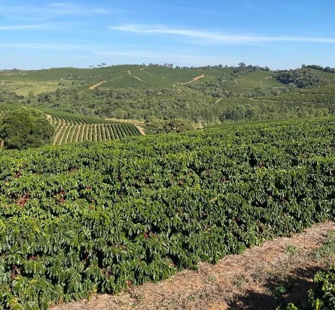 Fazenda à venda de 397 ha em Caconde, SP, Brasil