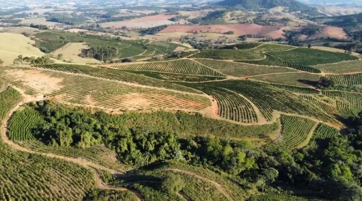 Fazenda à venda de 397 ha em Caconde, SP, Brasil