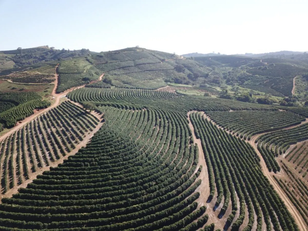 Fazenda à venda de 397 ha em Caconde, SP, Brasil
