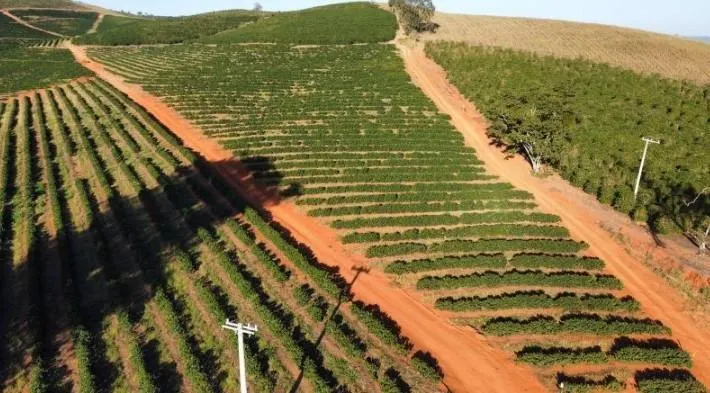 Fazenda à venda de 397 ha em Caconde, SP, Brasil