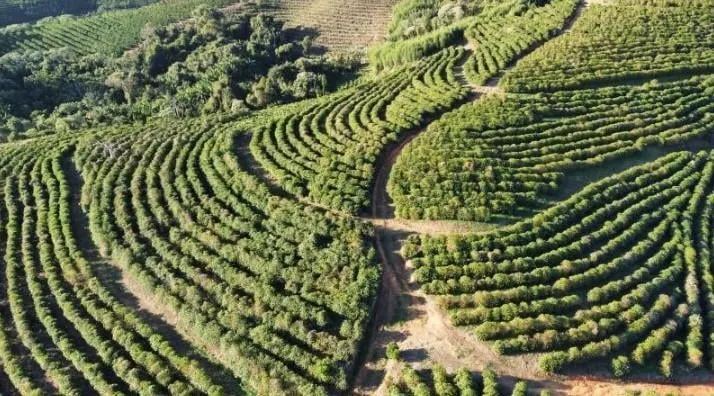 Fazenda à venda de 397 ha em Caconde, SP, Brasil