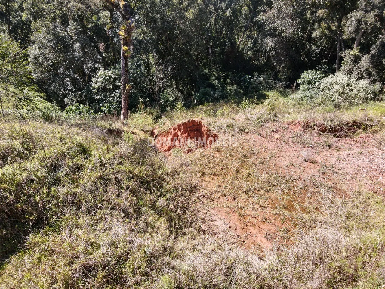 Terreno à venda de 1.110 m² em Campos do Jordão, SP, Brasil