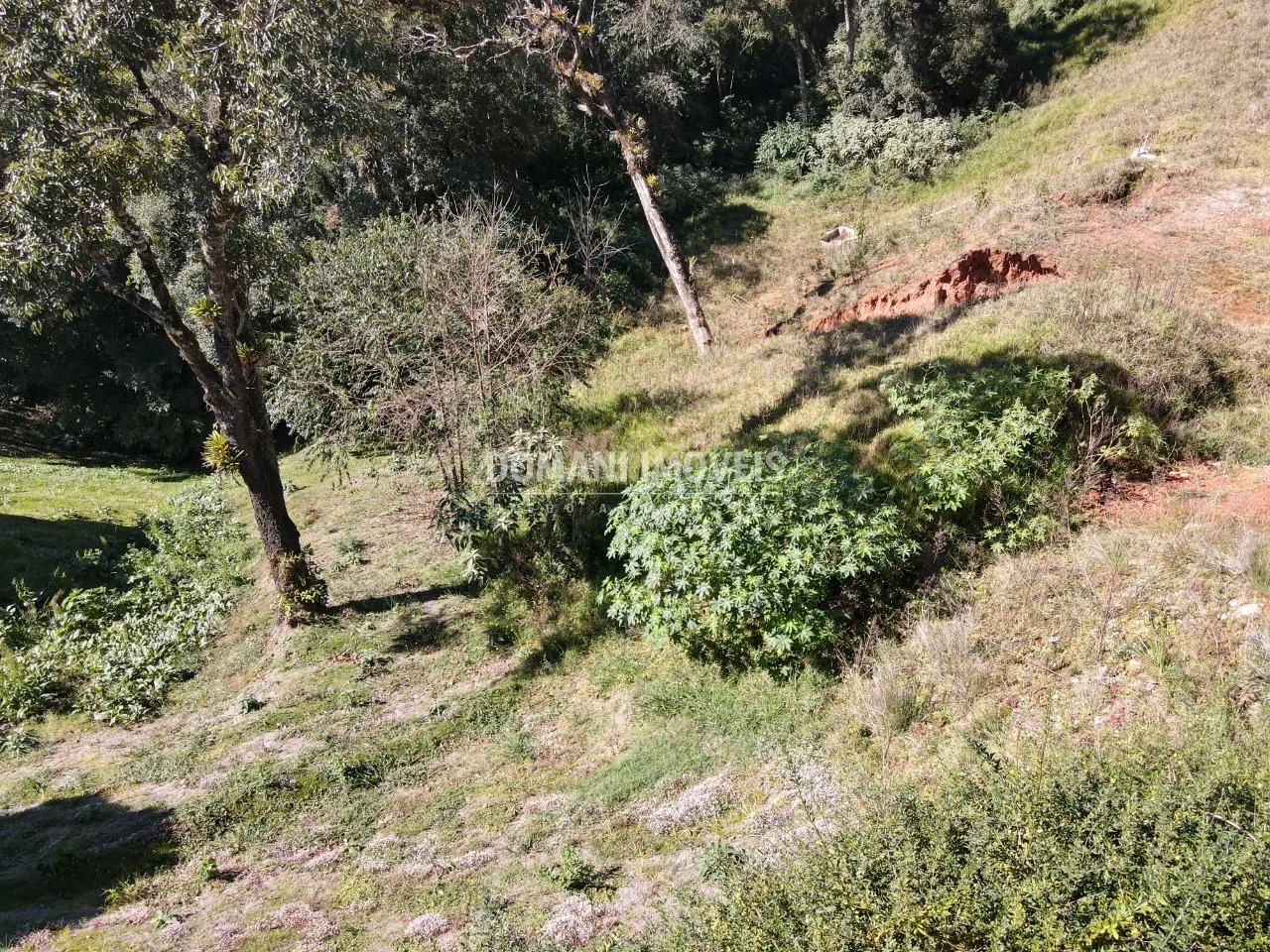 Terreno à venda de 1.110 m² em Campos do Jordão, SP, Brasil