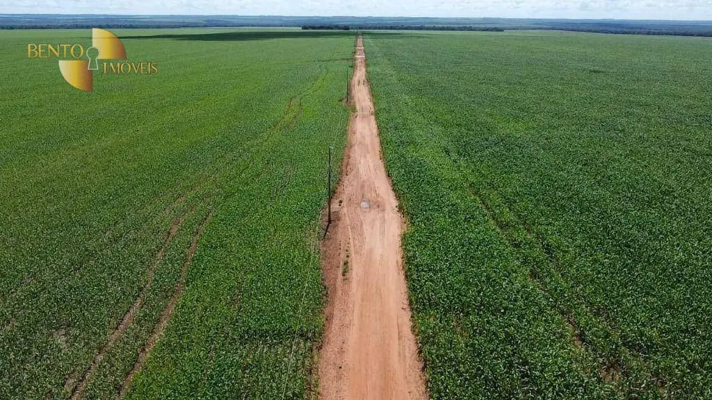 Fazenda à venda de 3.351 ha em Santa Rita do Trivelato, MT, Brasil