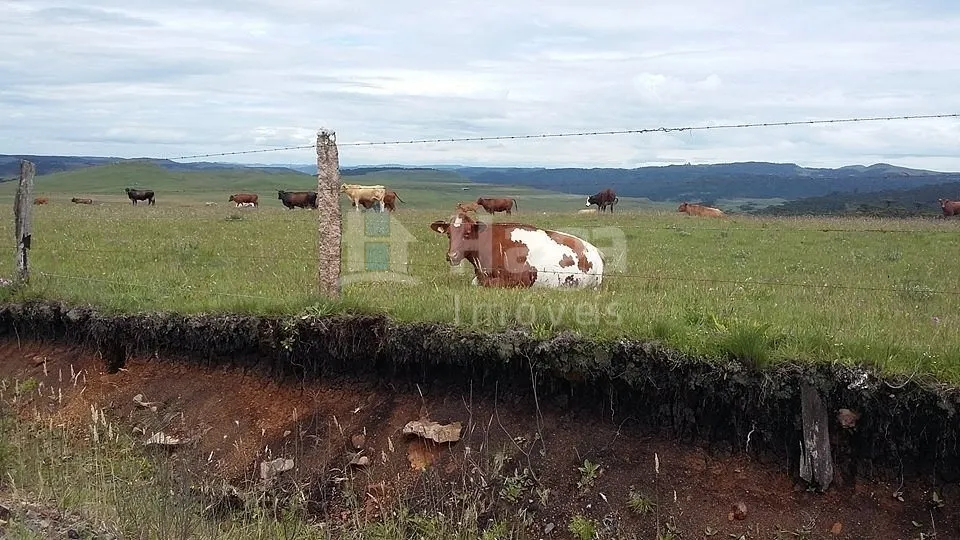 Chácara à venda de 77 ha em Bom Jardim da Serra, SC, Brasil