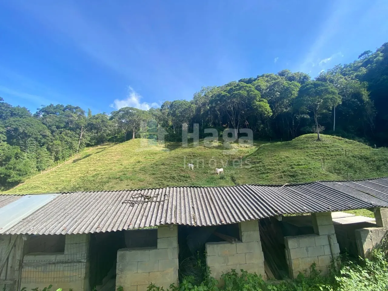 Casa à venda de 230 m² em Nova Trento, SC, Brasil