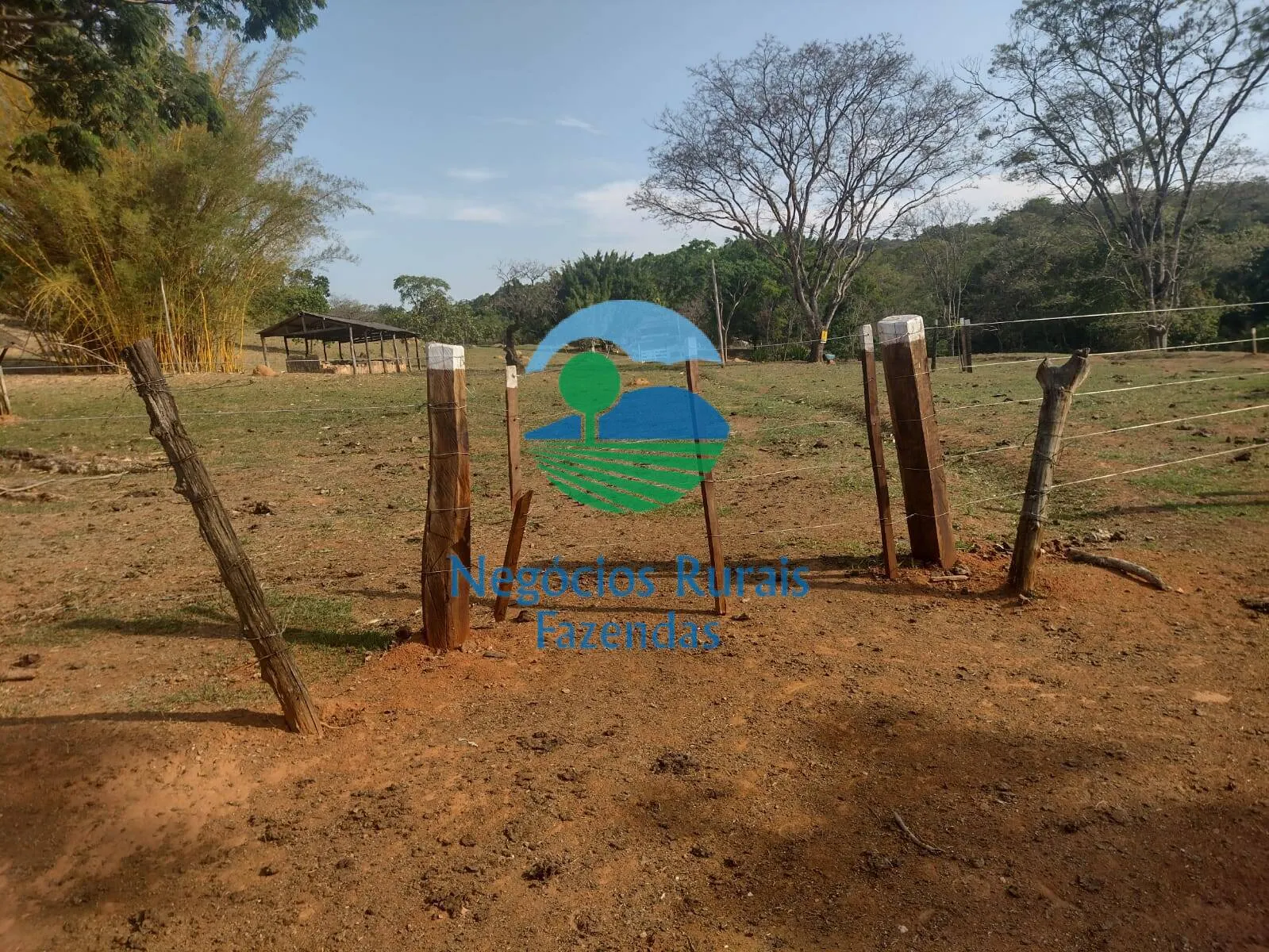 Fazenda à venda de 562 ha em Padre Bernardo, GO, Brasil