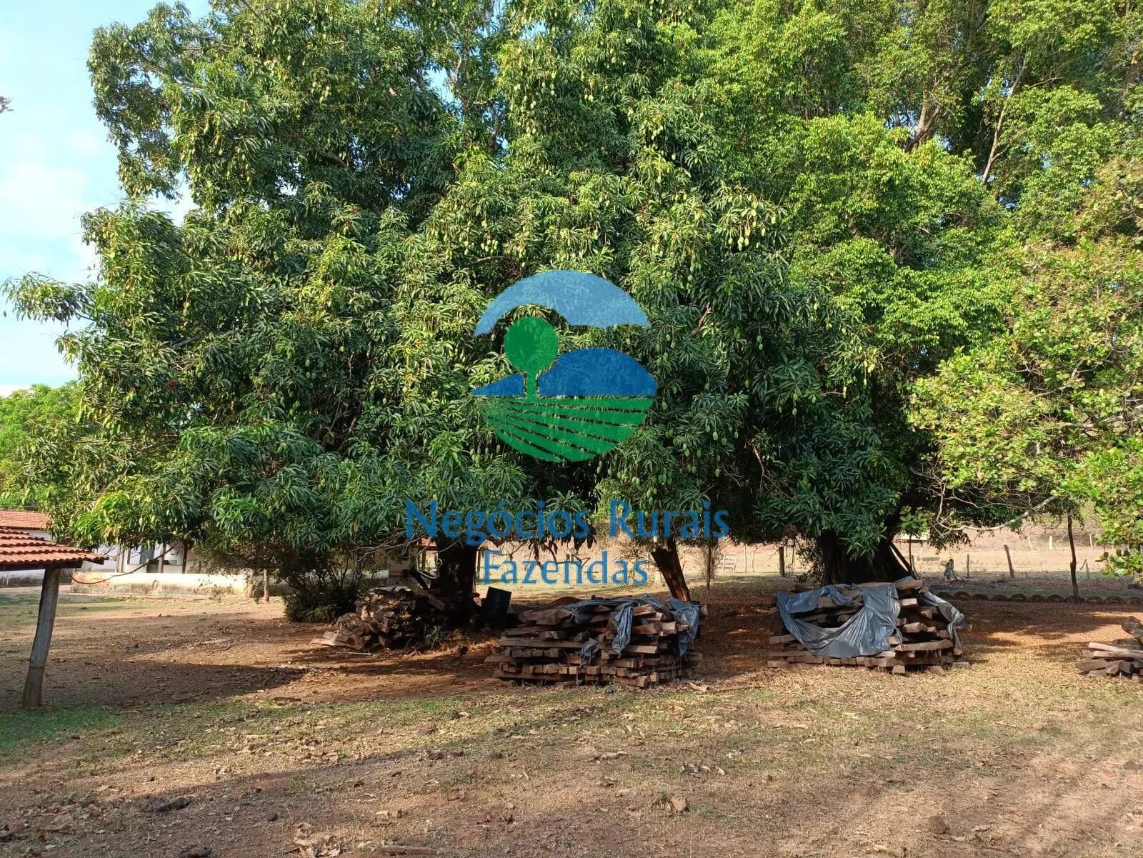 Fazenda à venda de 562 ha em Padre Bernardo, GO, Brasil