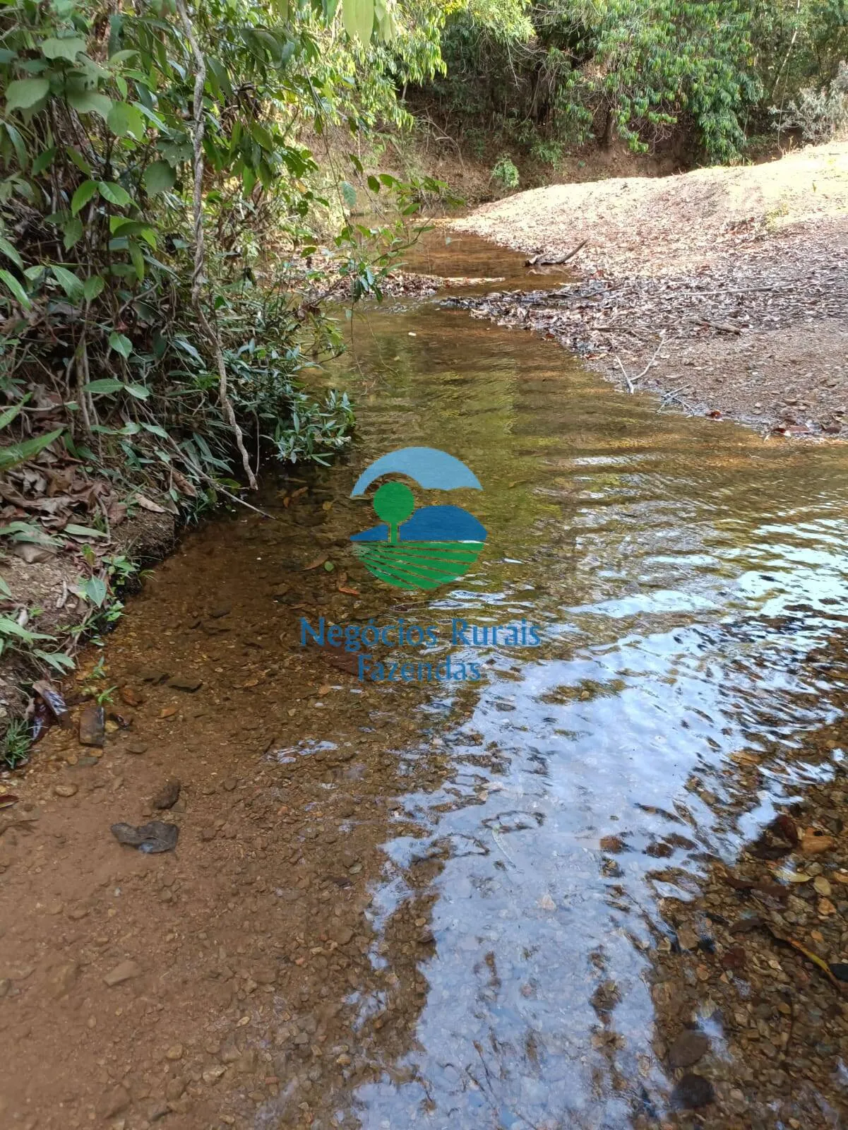 Fazenda à venda de 562 ha em Padre Bernardo, GO, Brasil