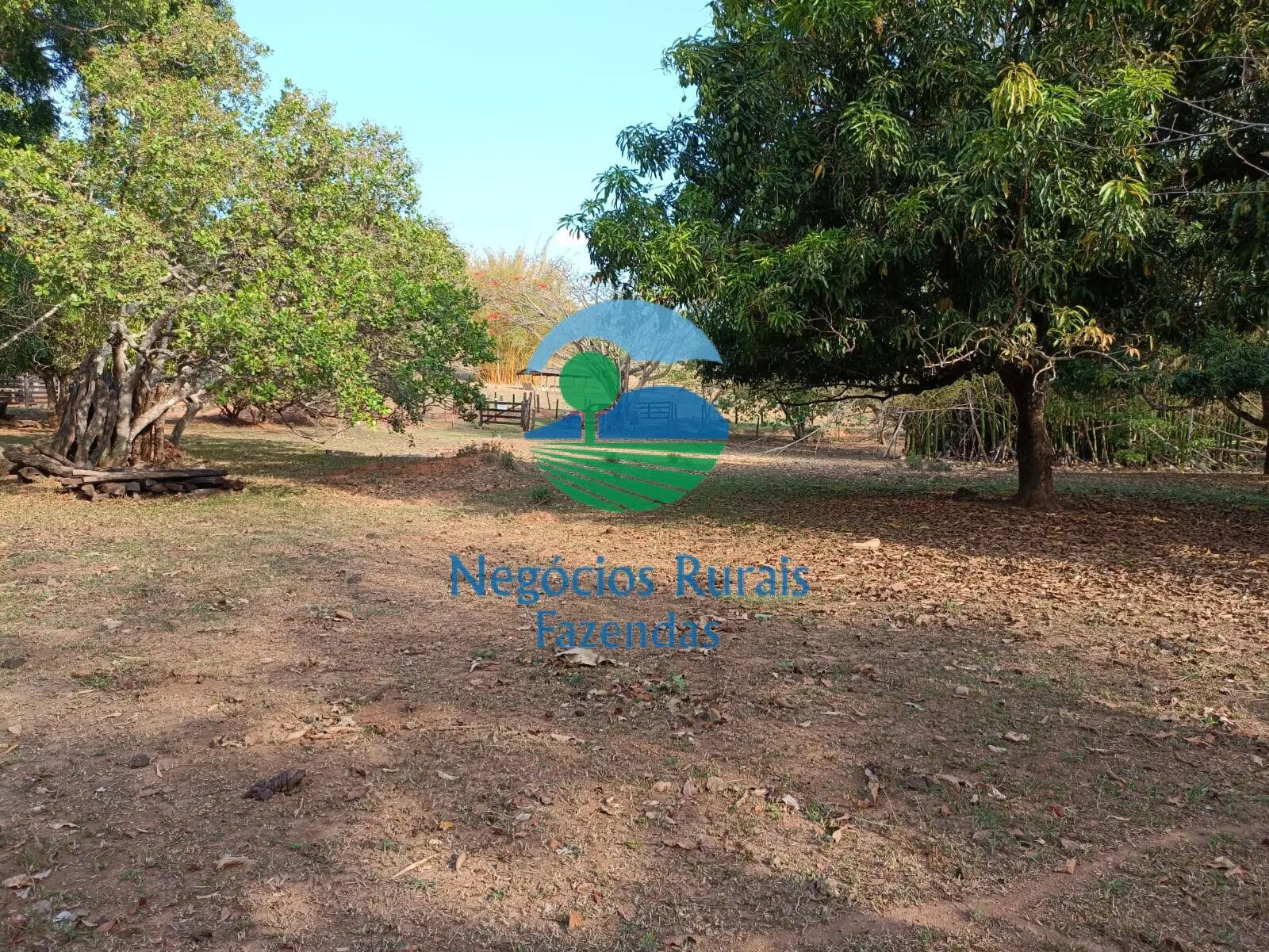 Fazenda à venda de 562 ha em Padre Bernardo, GO, Brasil