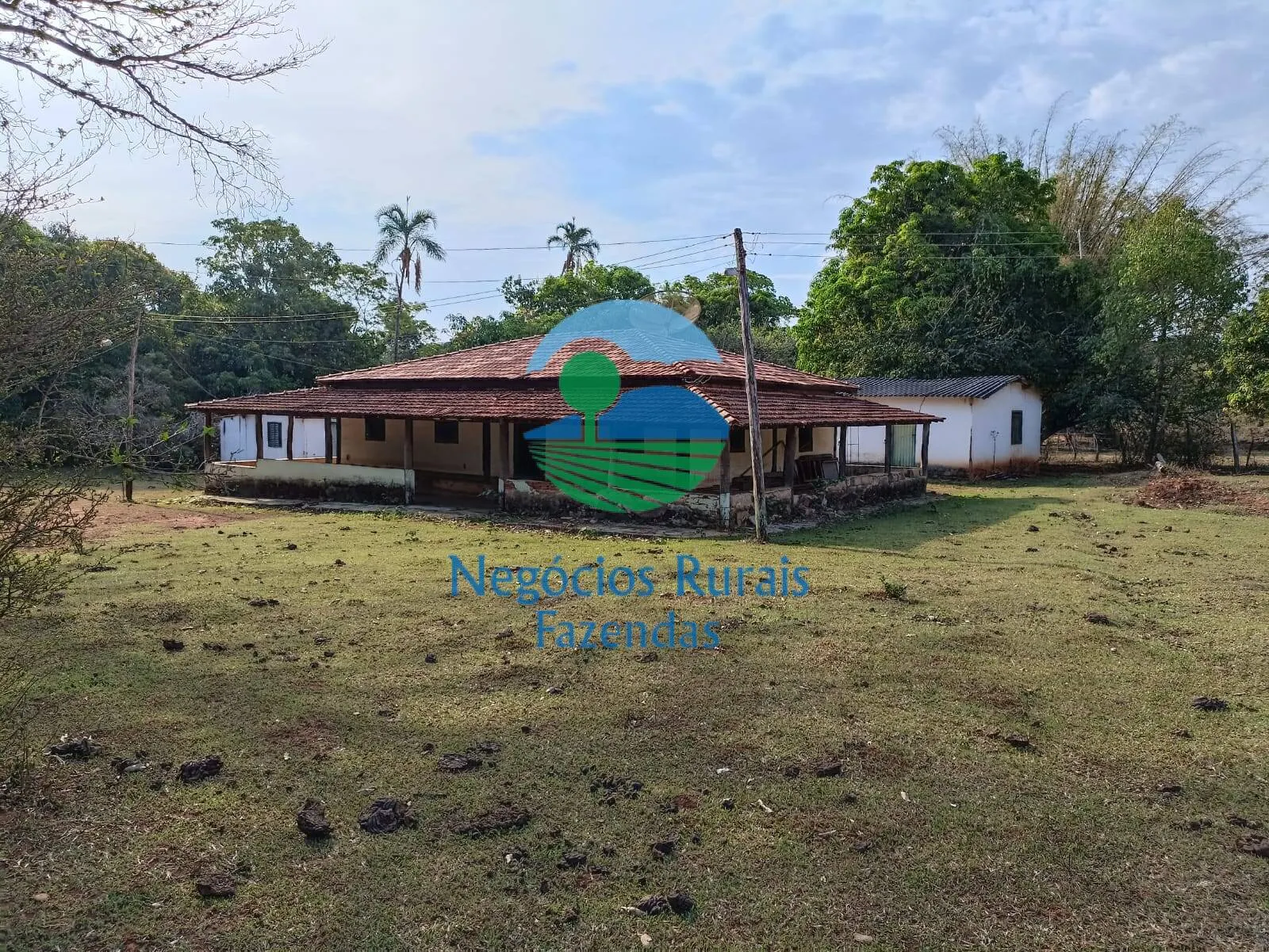Fazenda à venda de 562 ha em Padre Bernardo, GO, Brasil