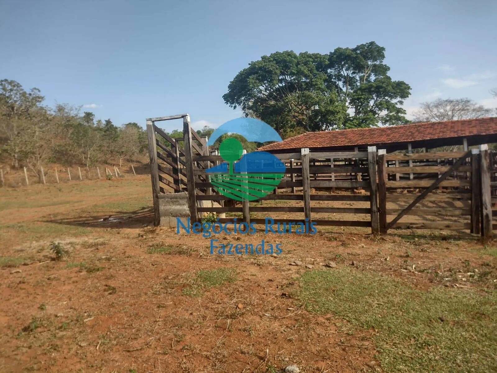 Fazenda à venda de 562 ha em Padre Bernardo, GO, Brasil