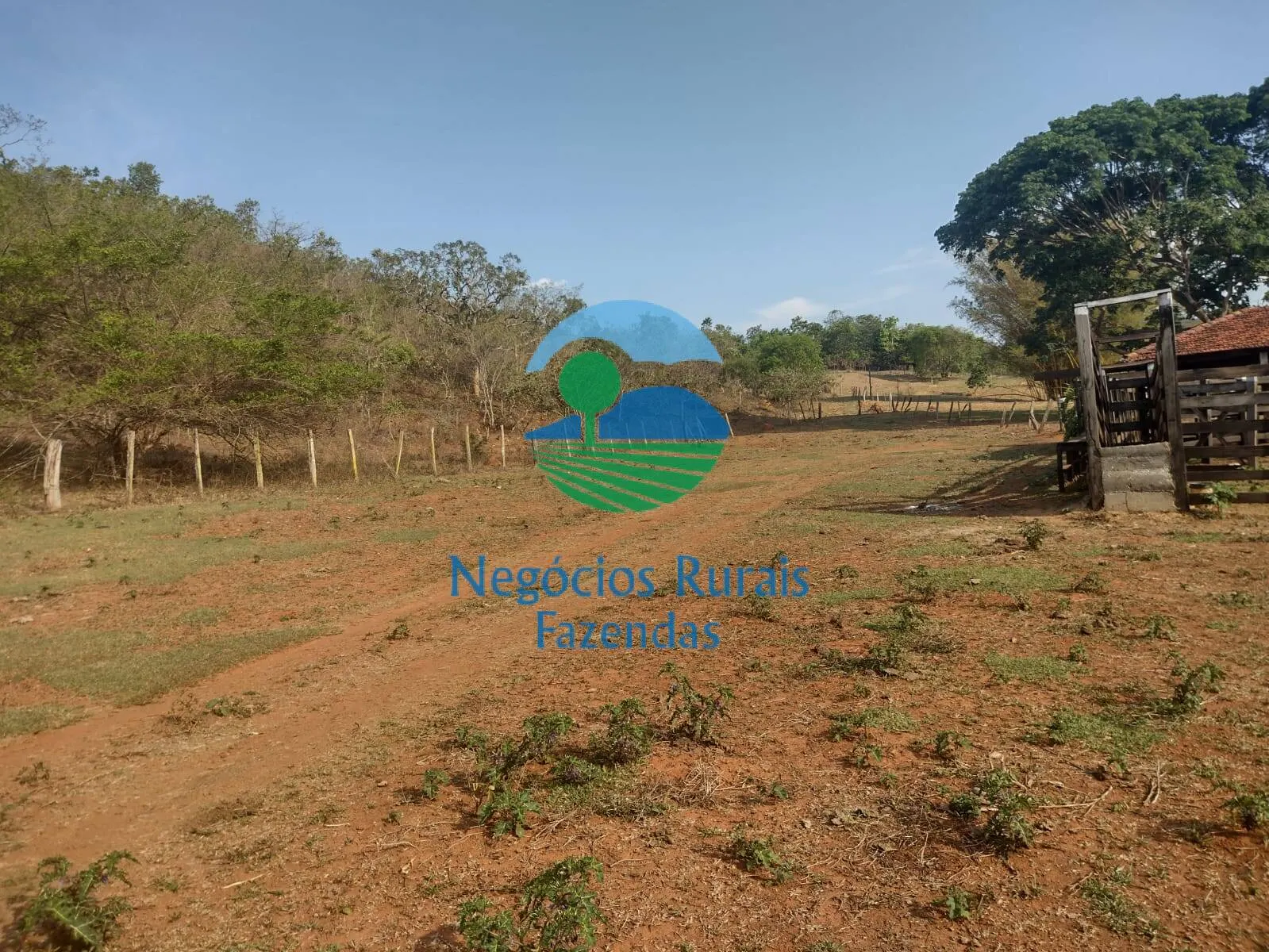 Fazenda à venda de 562 ha em Padre Bernardo, GO, Brasil