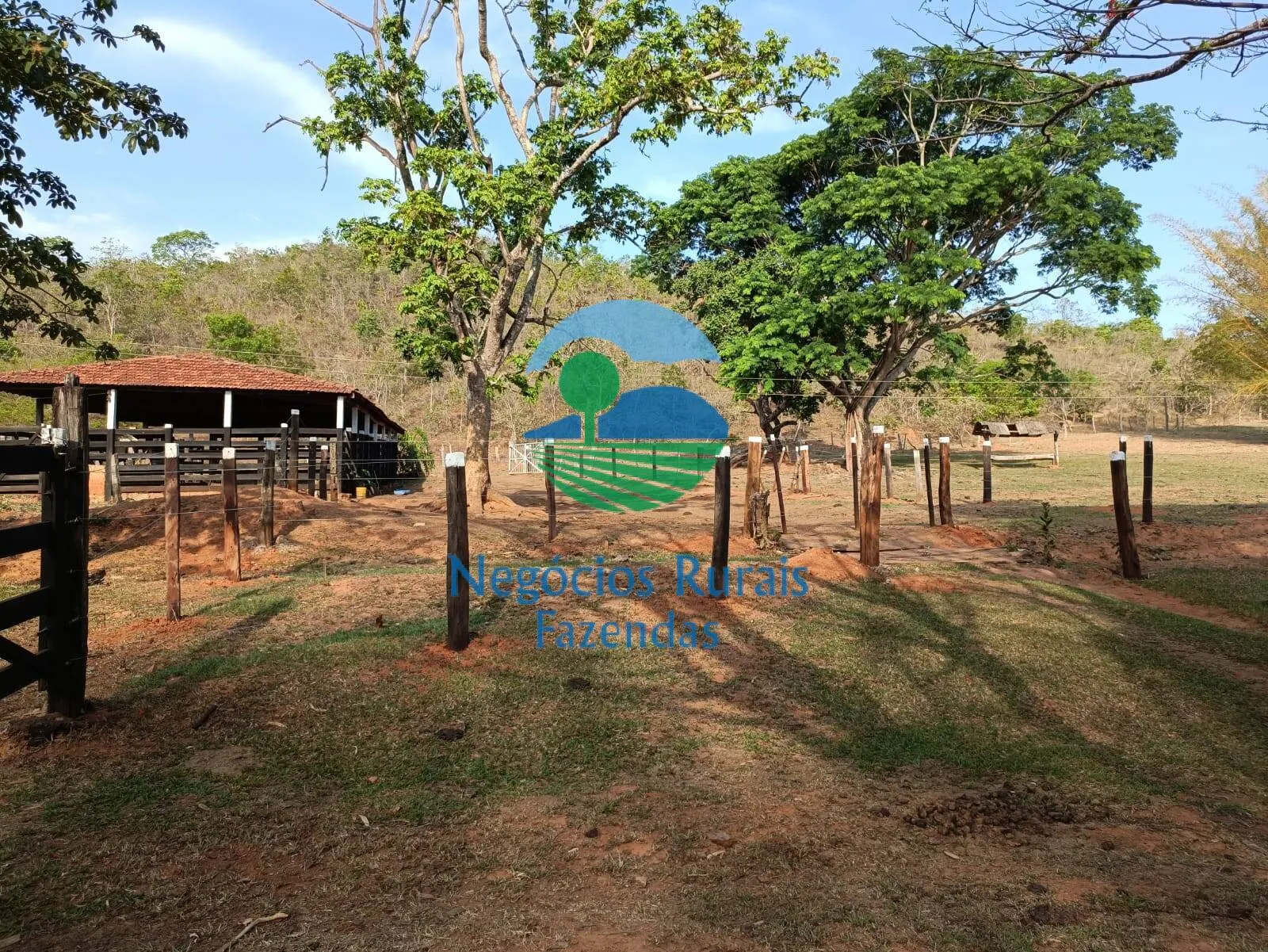 Fazenda à venda de 562 ha em Padre Bernardo, GO, Brasil