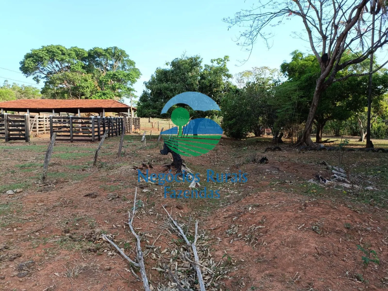 Fazenda à venda de 562 ha em Padre Bernardo, GO, Brasil