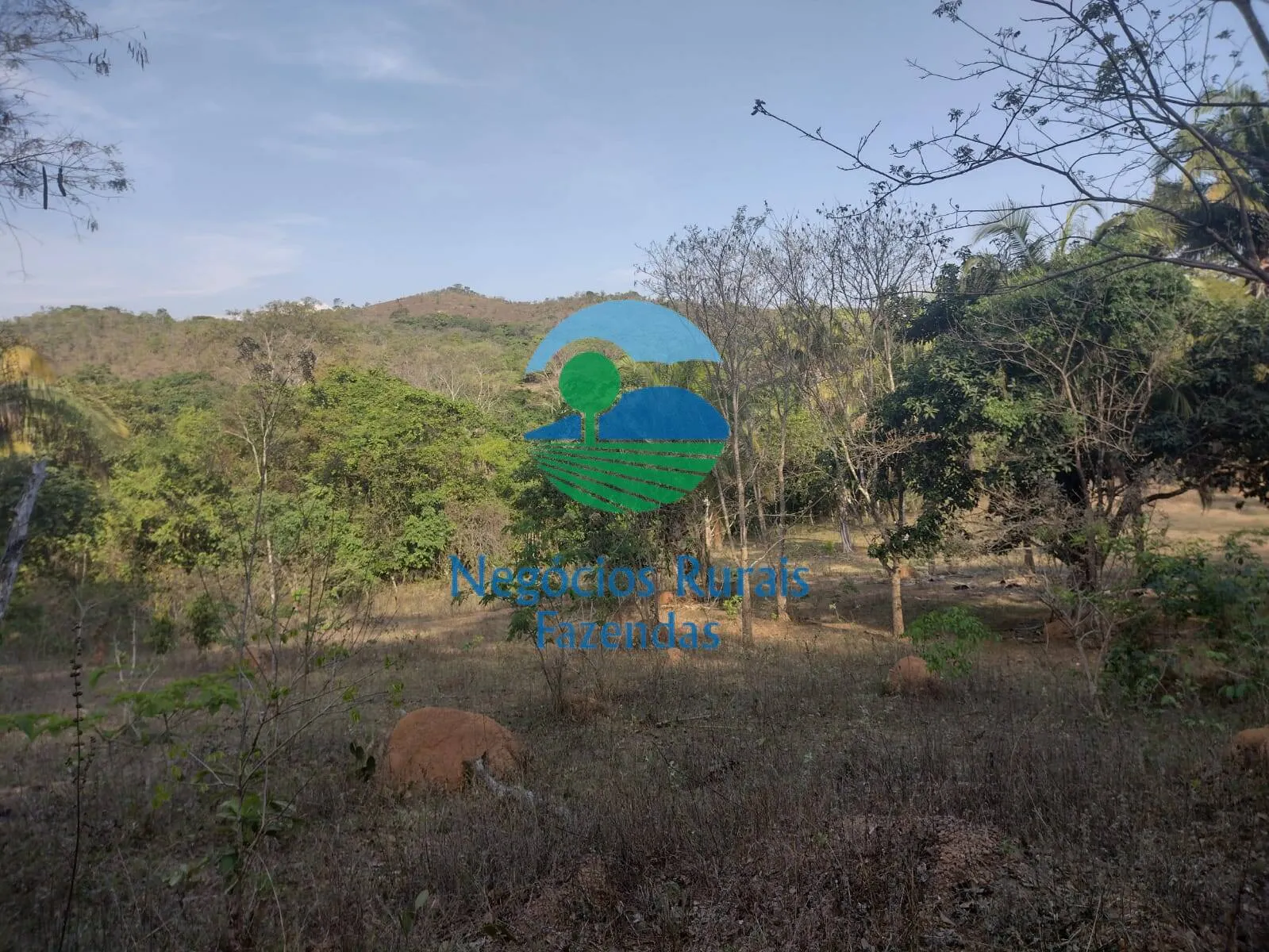 Fazenda à venda de 562 ha em Padre Bernardo, GO, Brasil