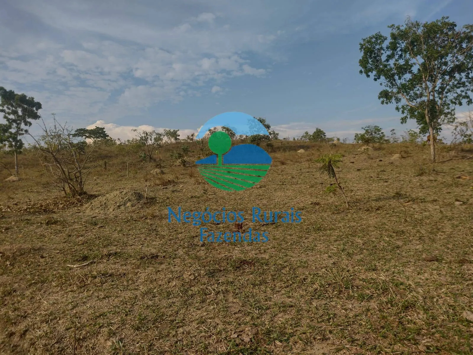 Fazenda à venda de 562 ha em Padre Bernardo, GO, Brasil
