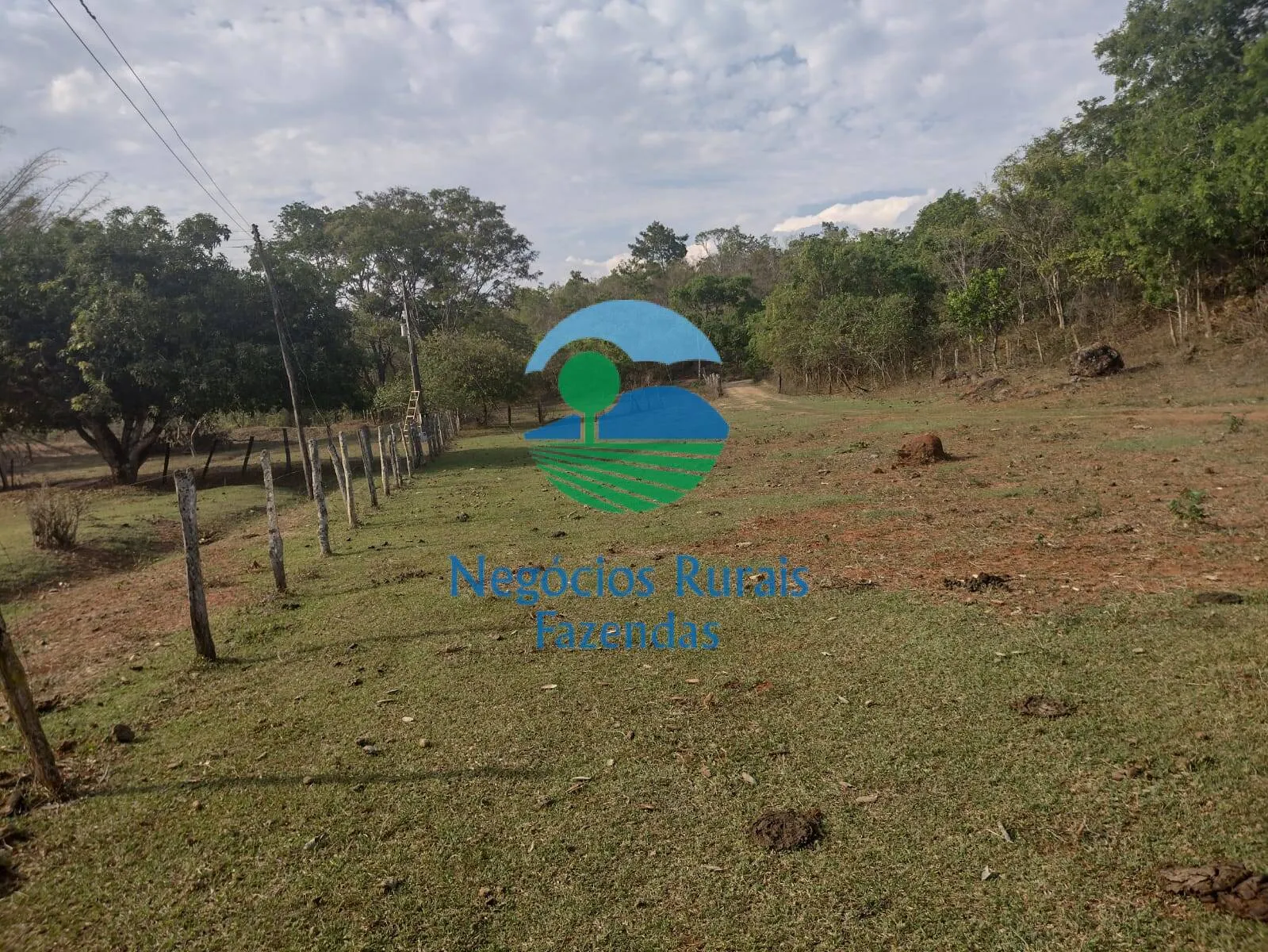 Fazenda à venda de 562 ha em Padre Bernardo, GO, Brasil
