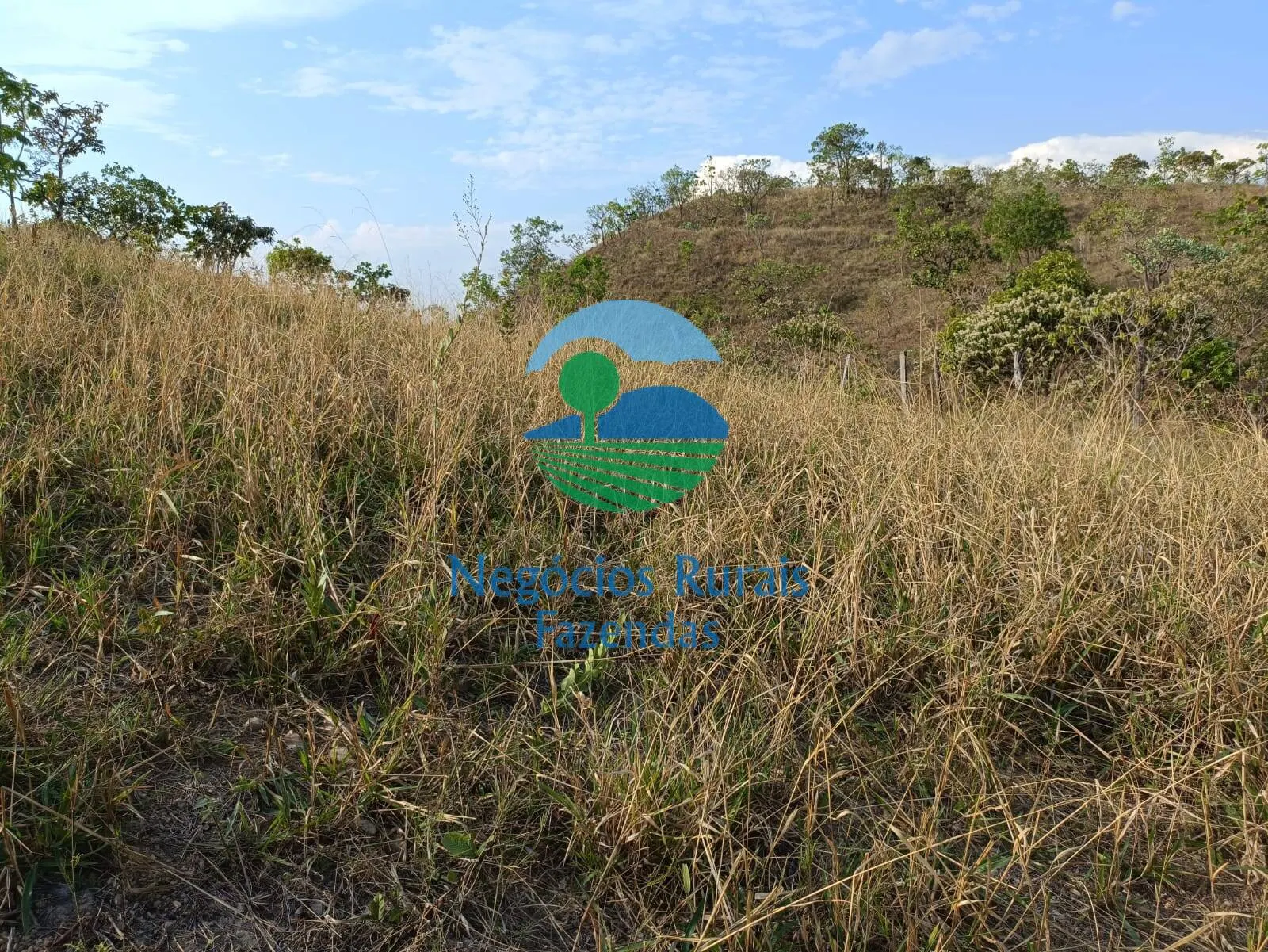 Fazenda à venda de 562 ha em Padre Bernardo, GO, Brasil