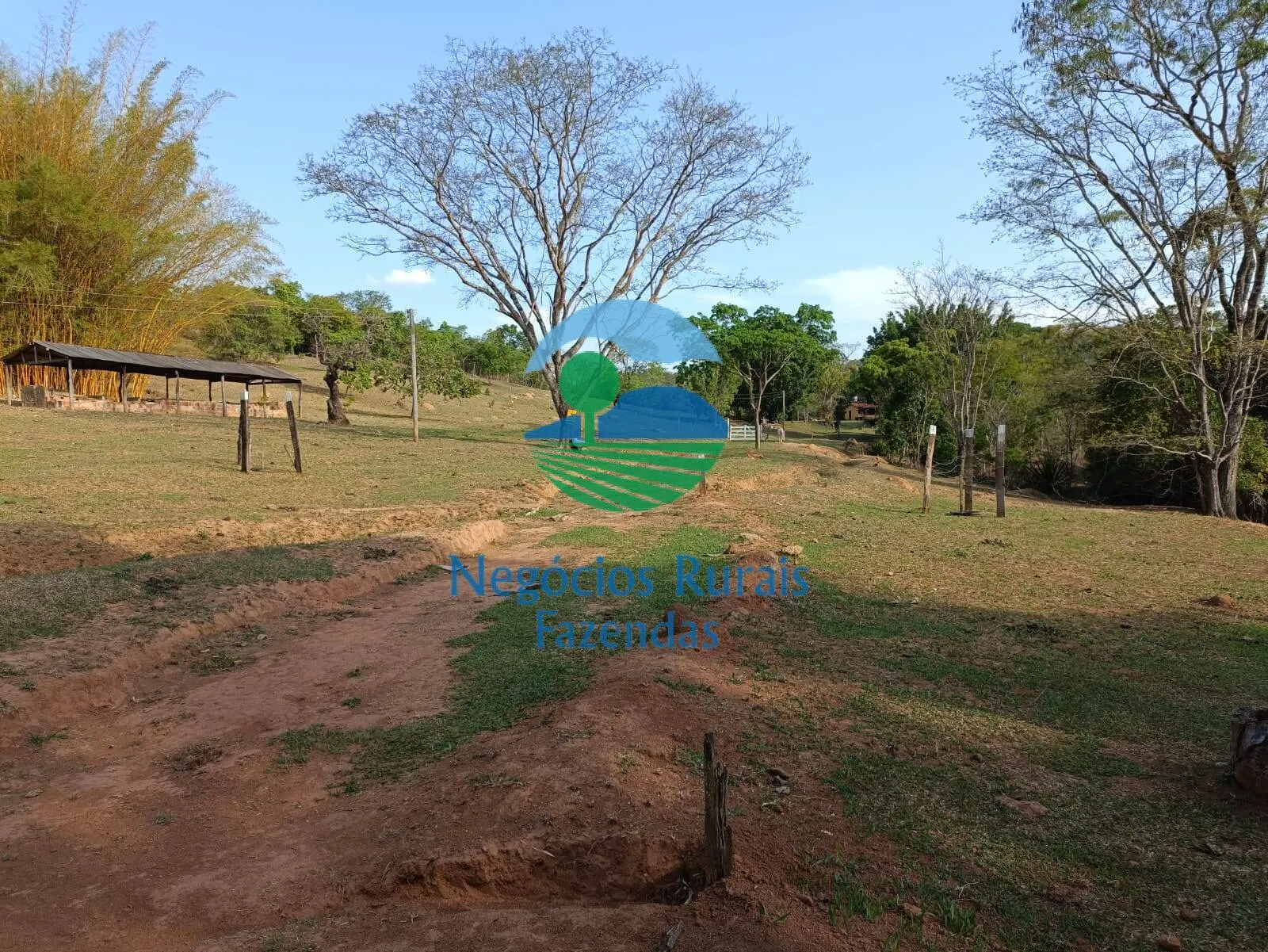 Fazenda à venda de 562 ha em Padre Bernardo, GO, Brasil