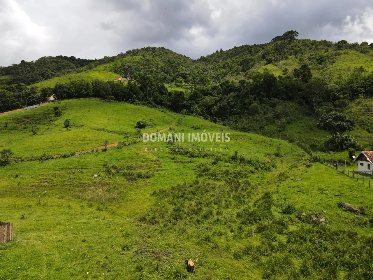 Terreno à venda de 3 ha em Santo Antônio do Pinhal, SP, Brasil