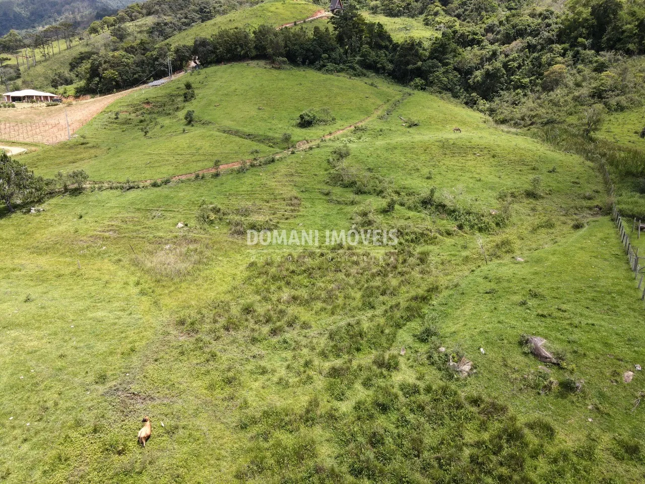 Terreno à venda de 3 ha em Santo Antônio do Pinhal, SP, Brasil