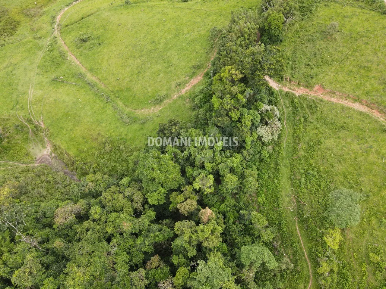 Terreno à venda de 3 ha em Santo Antônio do Pinhal, SP, Brasil
