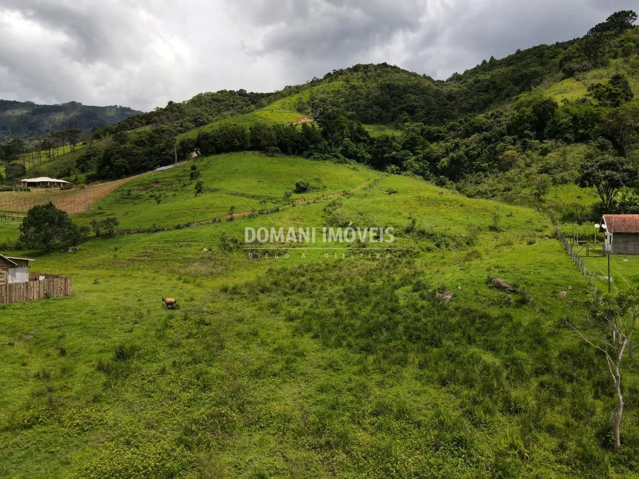 Terreno à venda de 3 ha em Santo Antônio do Pinhal, SP, Brasil