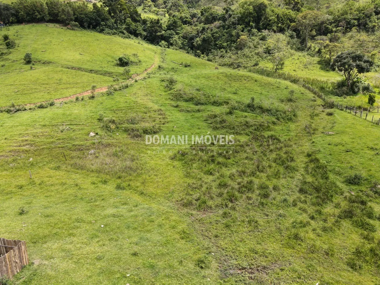 Terreno à venda de 3 ha em Santo Antônio do Pinhal, SP, Brasil