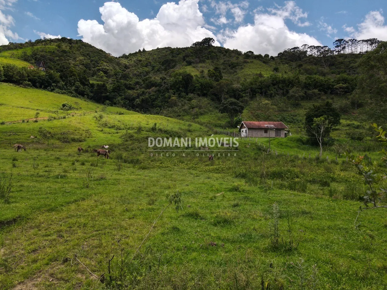 Terreno à venda de 3 ha em Santo Antônio do Pinhal, SP, Brasil