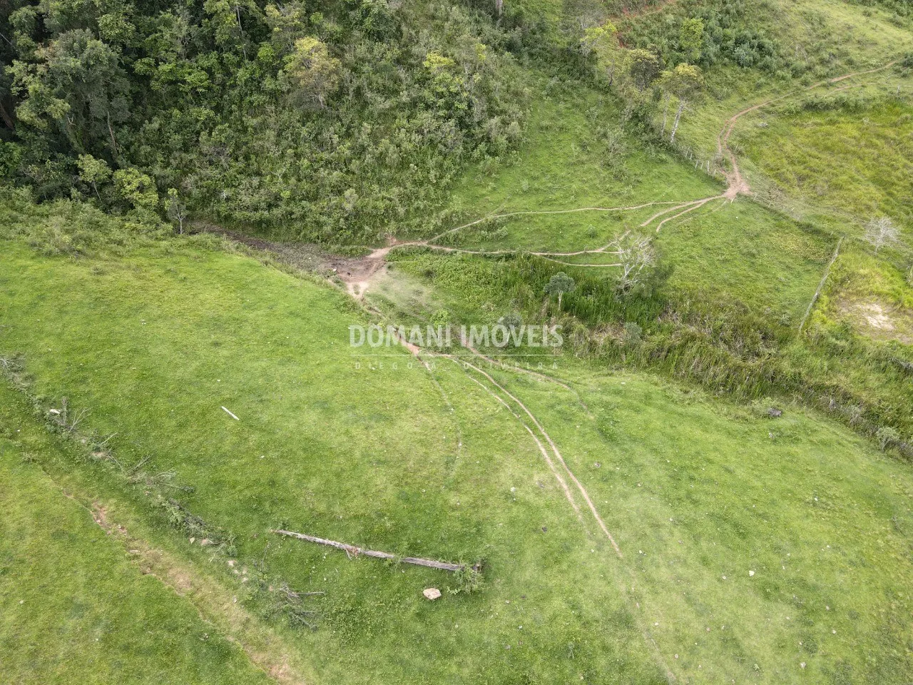 Terreno à venda de 3 ha em Santo Antônio do Pinhal, SP, Brasil