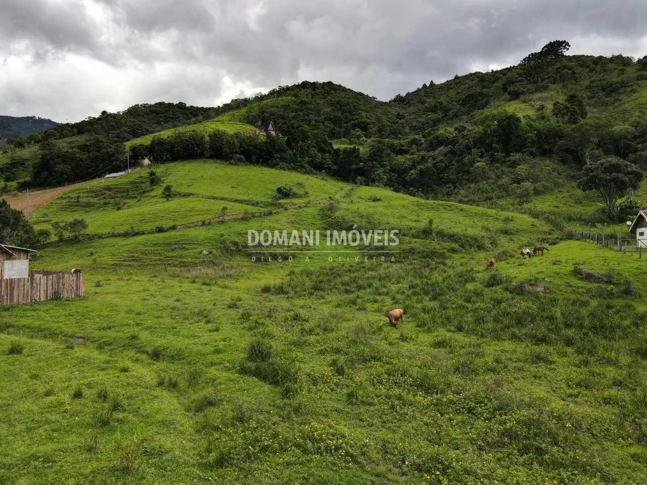 Terreno à venda de 3 ha em Santo Antônio do Pinhal, SP, Brasil