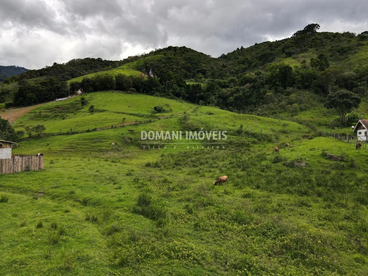 Terreno à venda de 3 ha em Santo Antônio do Pinhal, SP, Brasil