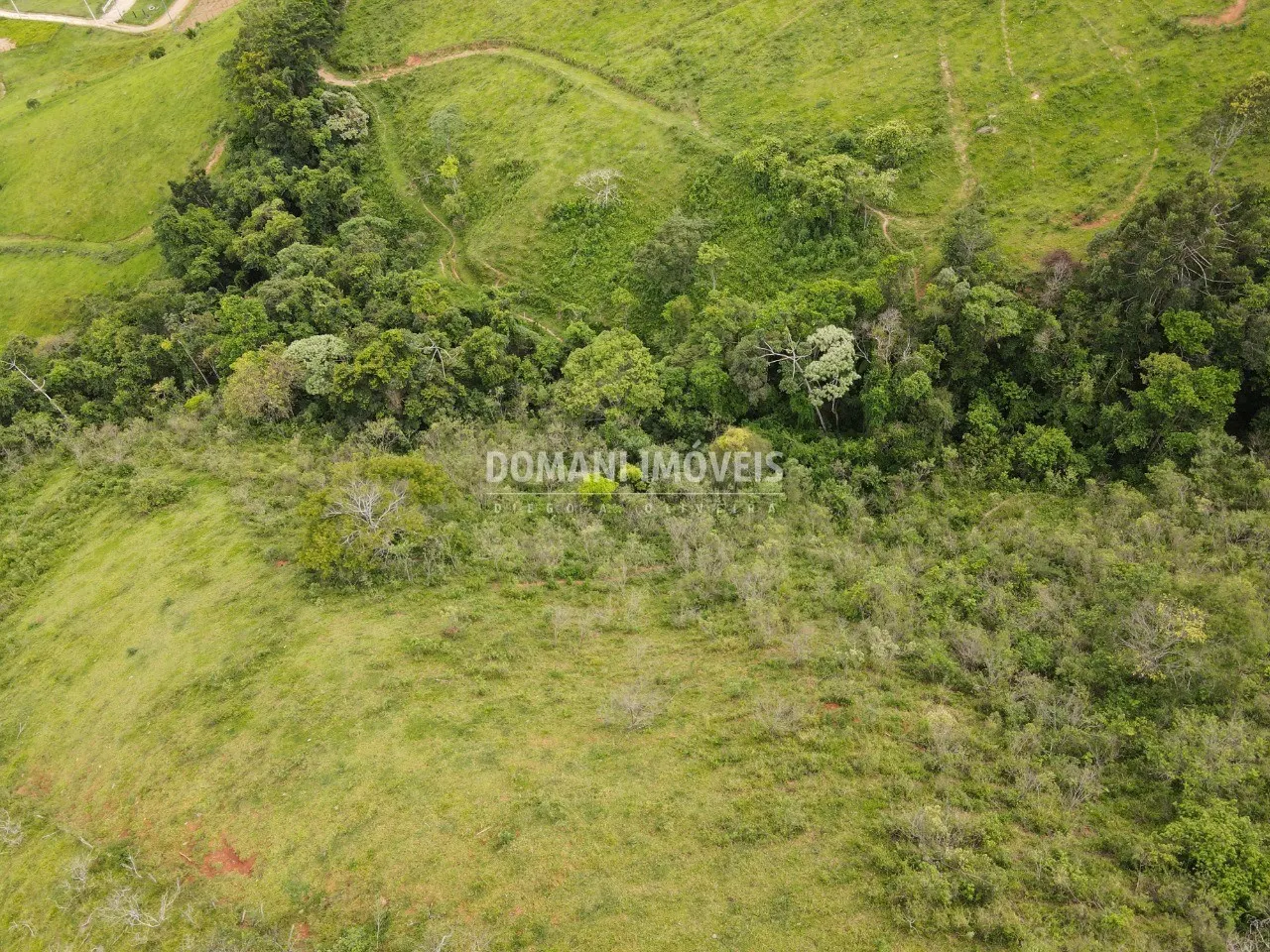 Terreno à venda de 3 ha em Santo Antônio do Pinhal, SP, Brasil