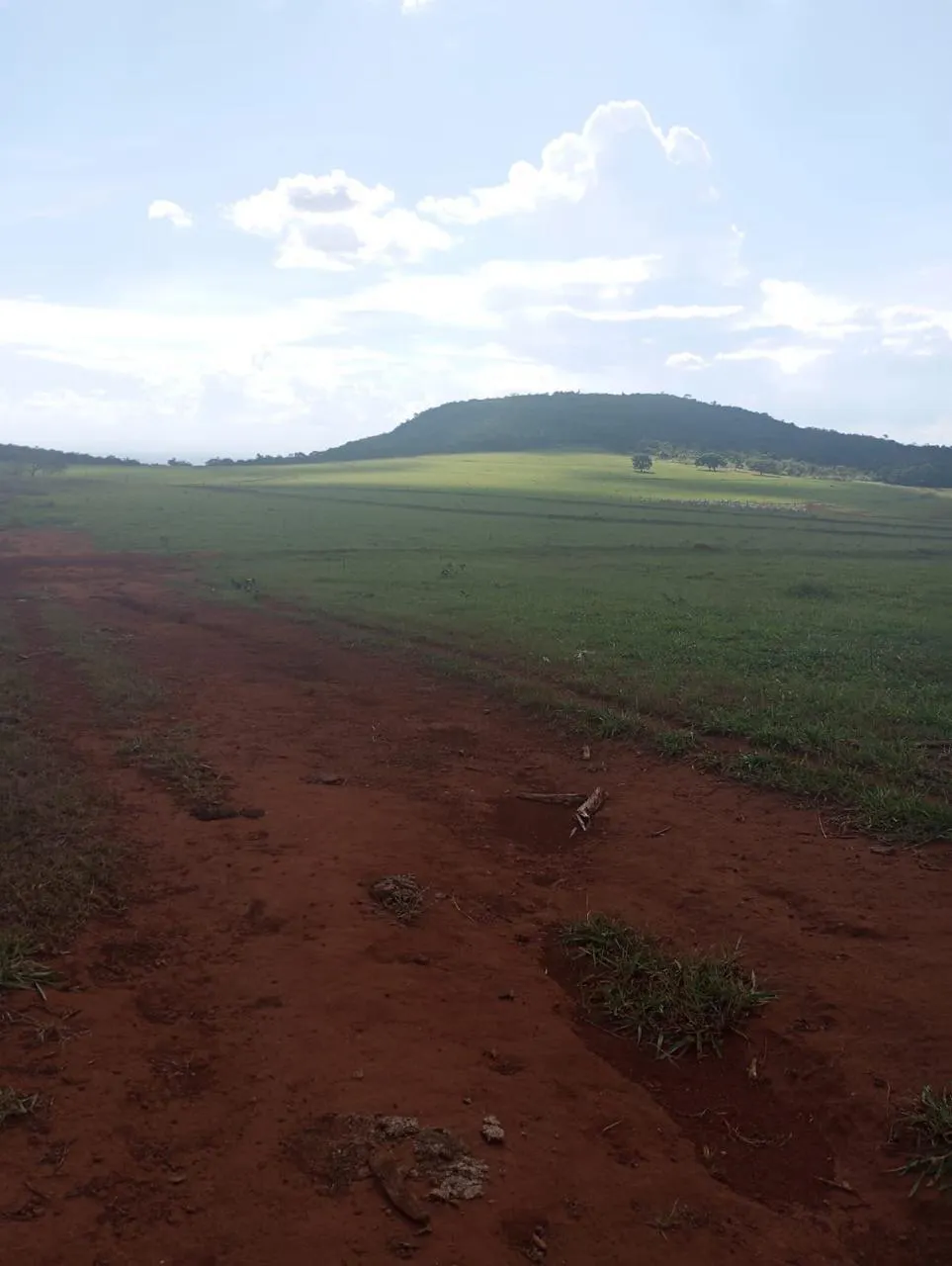 Fazenda à venda de 523 ha em Santa Rita do Novo Destino, GO, Brasil