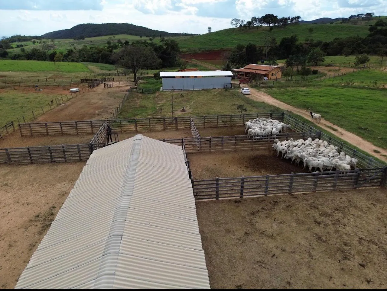 Fazenda à venda de 523 ha em Santa Rita do Novo Destino, GO, Brasil