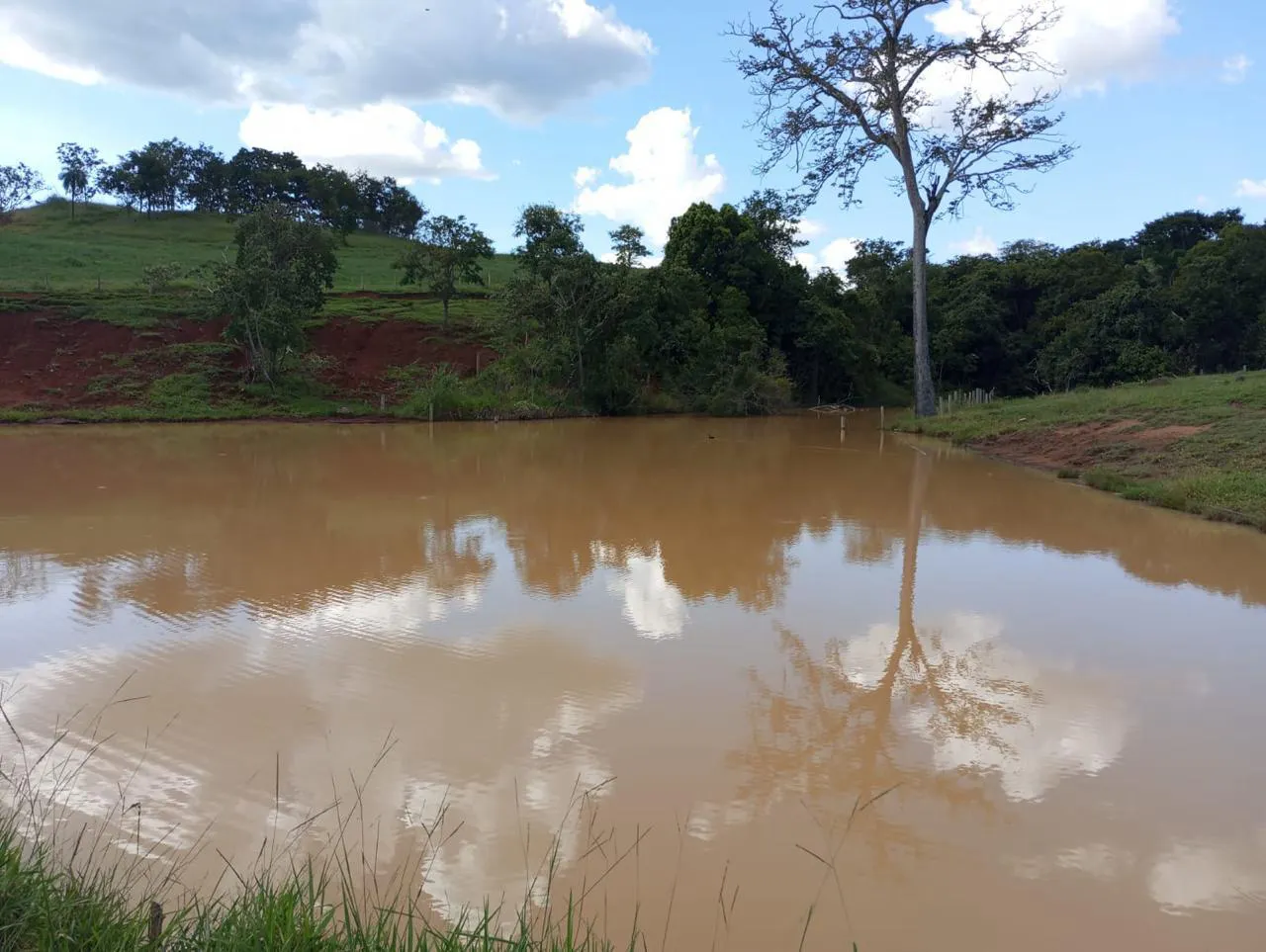 Fazenda à venda de 523 ha em Santa Rita do Novo Destino, GO, Brasil