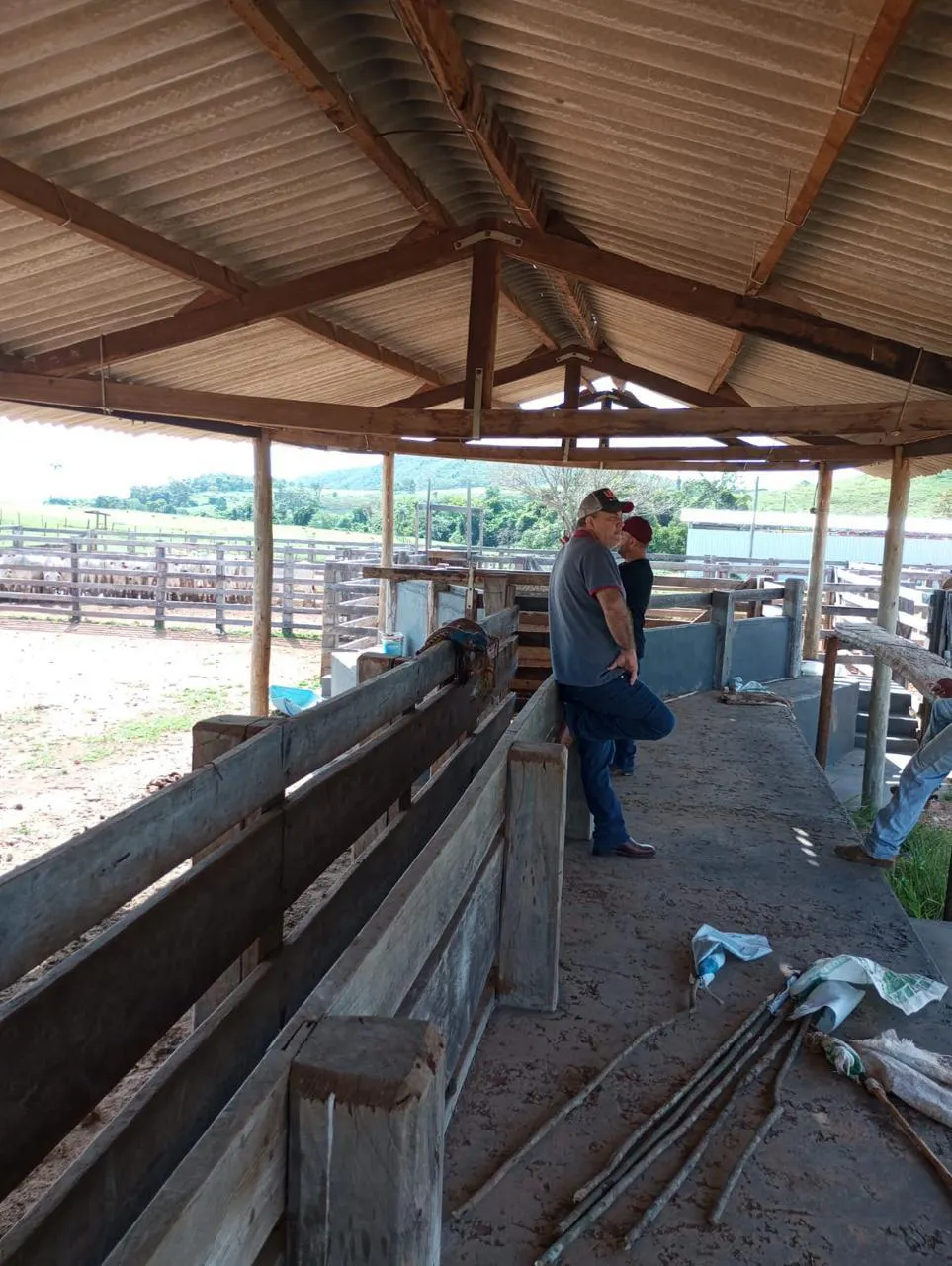 Fazenda à venda de 523 ha em Santa Rita do Novo Destino, GO, Brasil