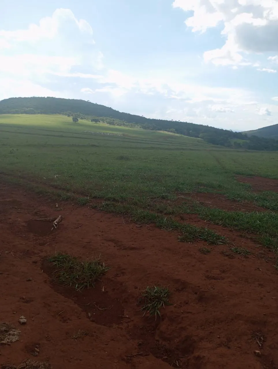 Fazenda à venda de 523 ha em Santa Rita do Novo Destino, GO, Brasil