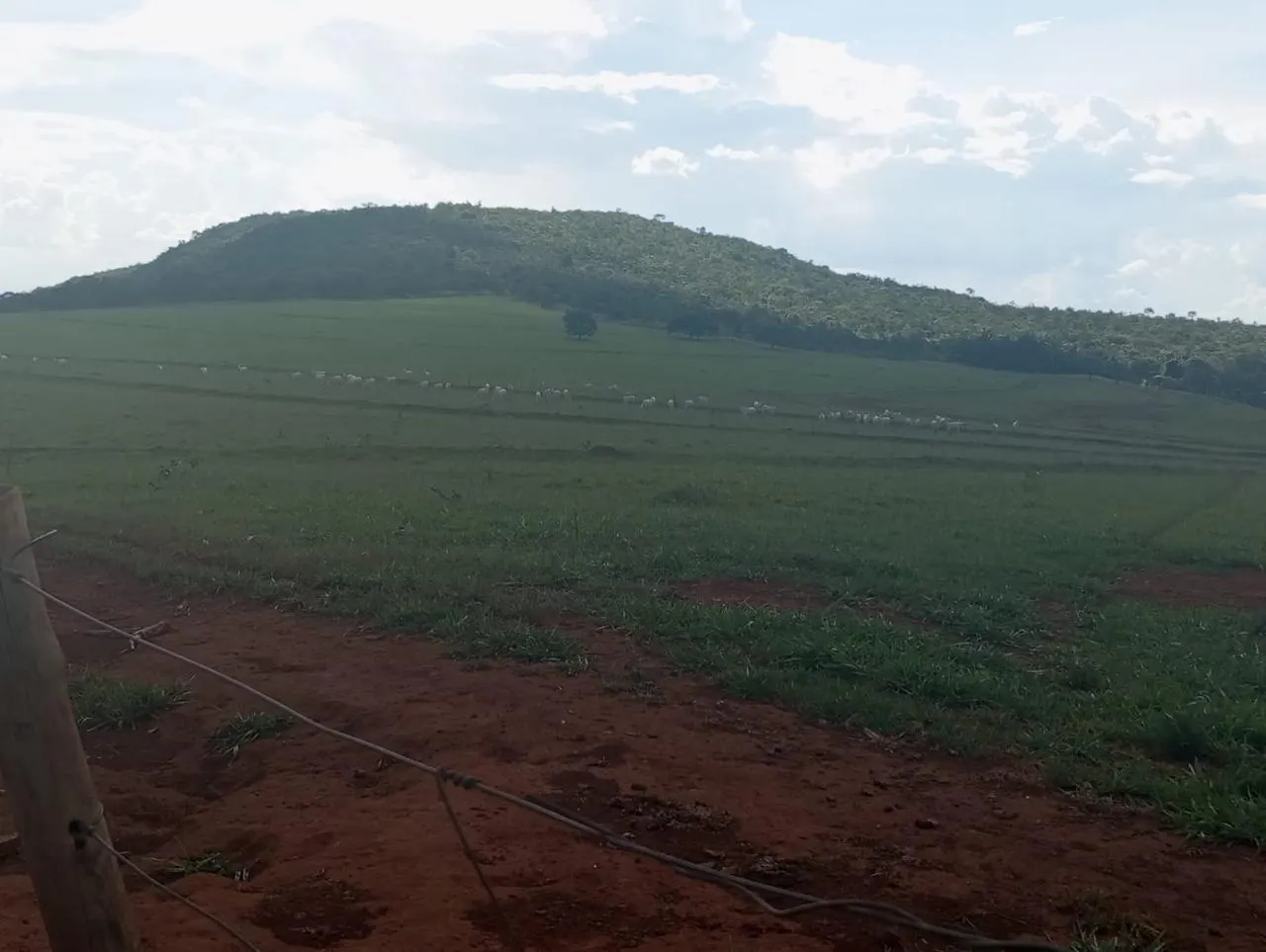 Fazenda à venda de 523 ha em Santa Rita do Novo Destino, GO, Brasil