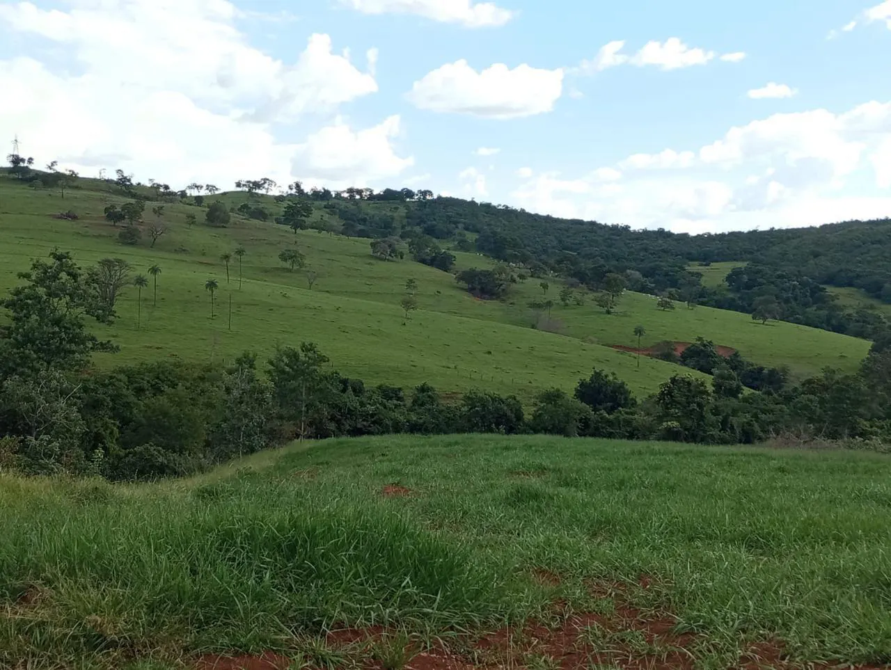 Fazenda à venda de 523 ha em Santa Rita do Novo Destino, GO, Brasil