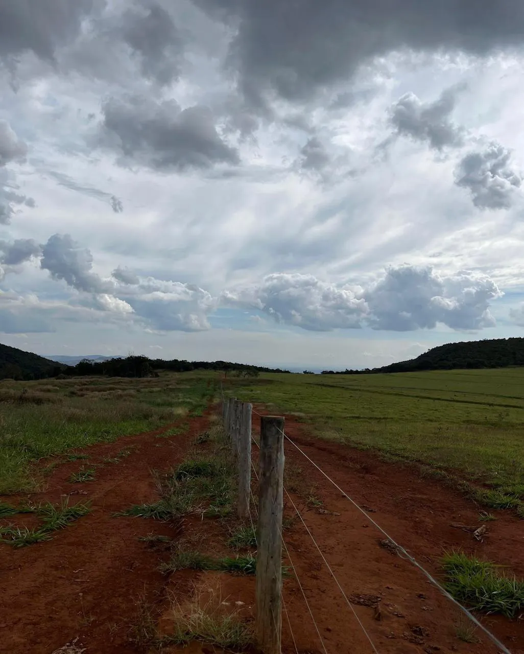 Fazenda à venda de 523 ha em Santa Rita do Novo Destino, GO, Brasil