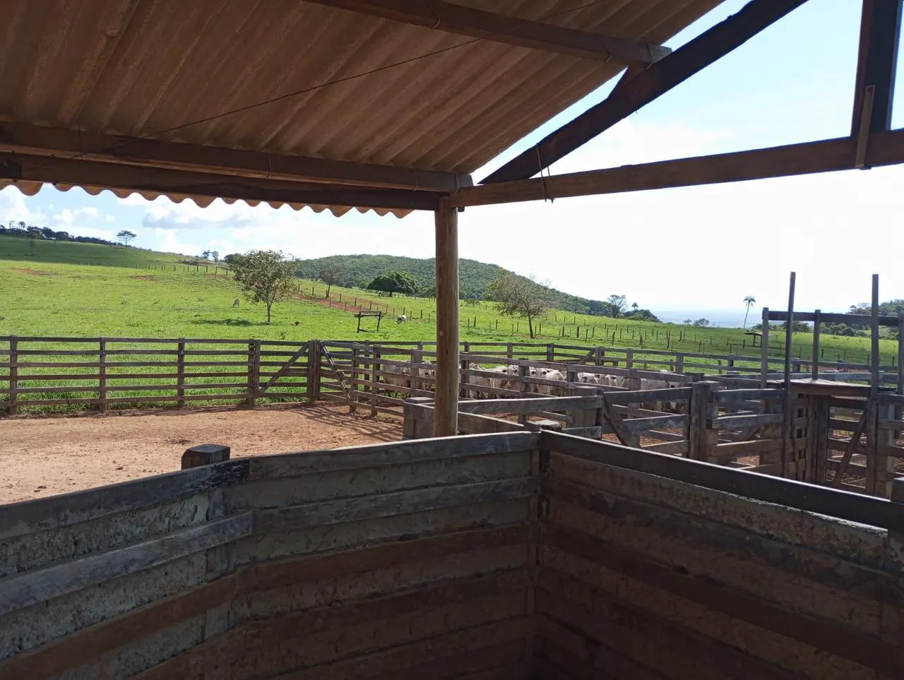 Fazenda à venda de 523 ha em Santa Rita do Novo Destino, GO, Brasil