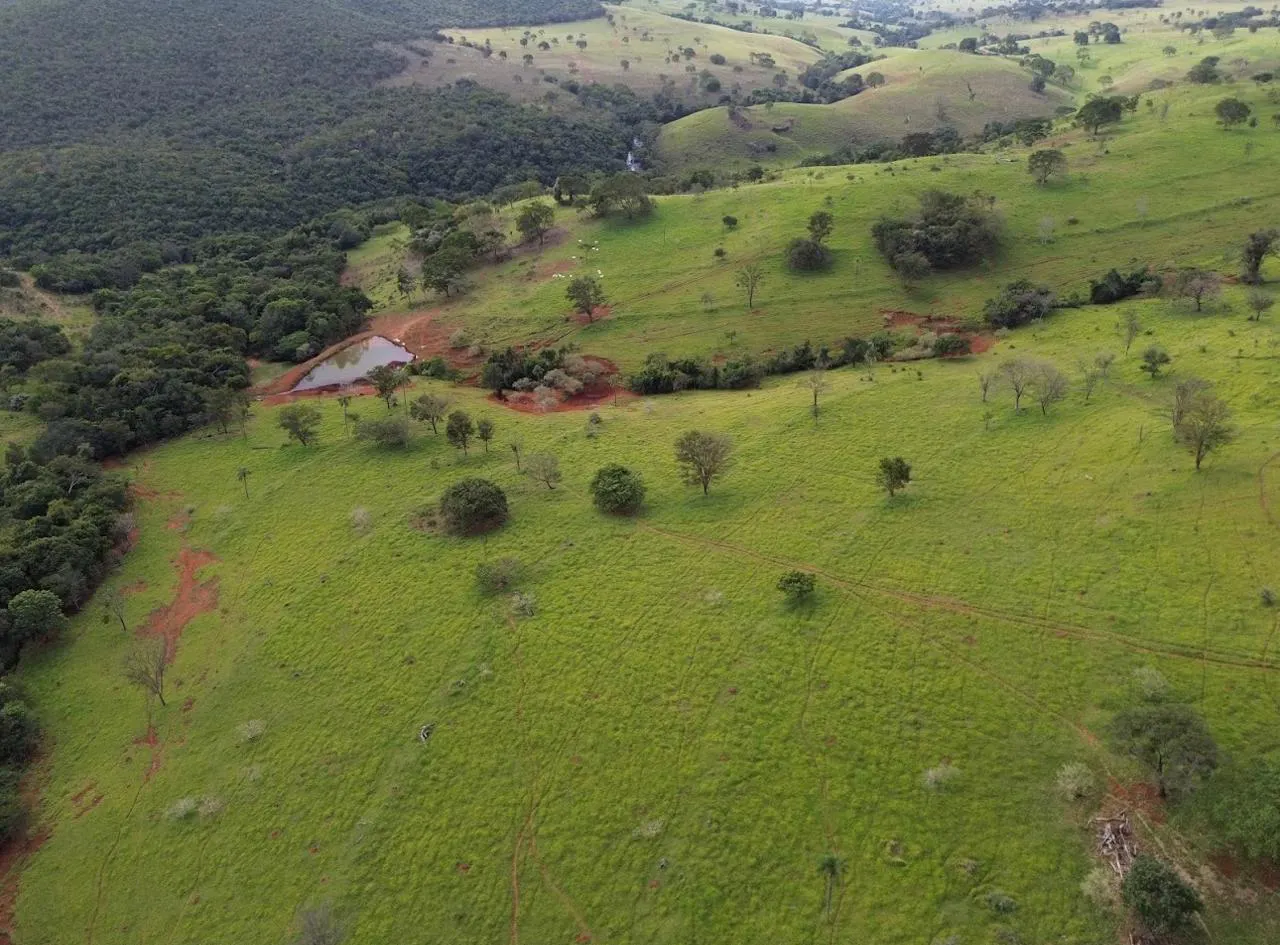 Fazenda à venda de 523 ha em Santa Rita do Novo Destino, GO, Brasil