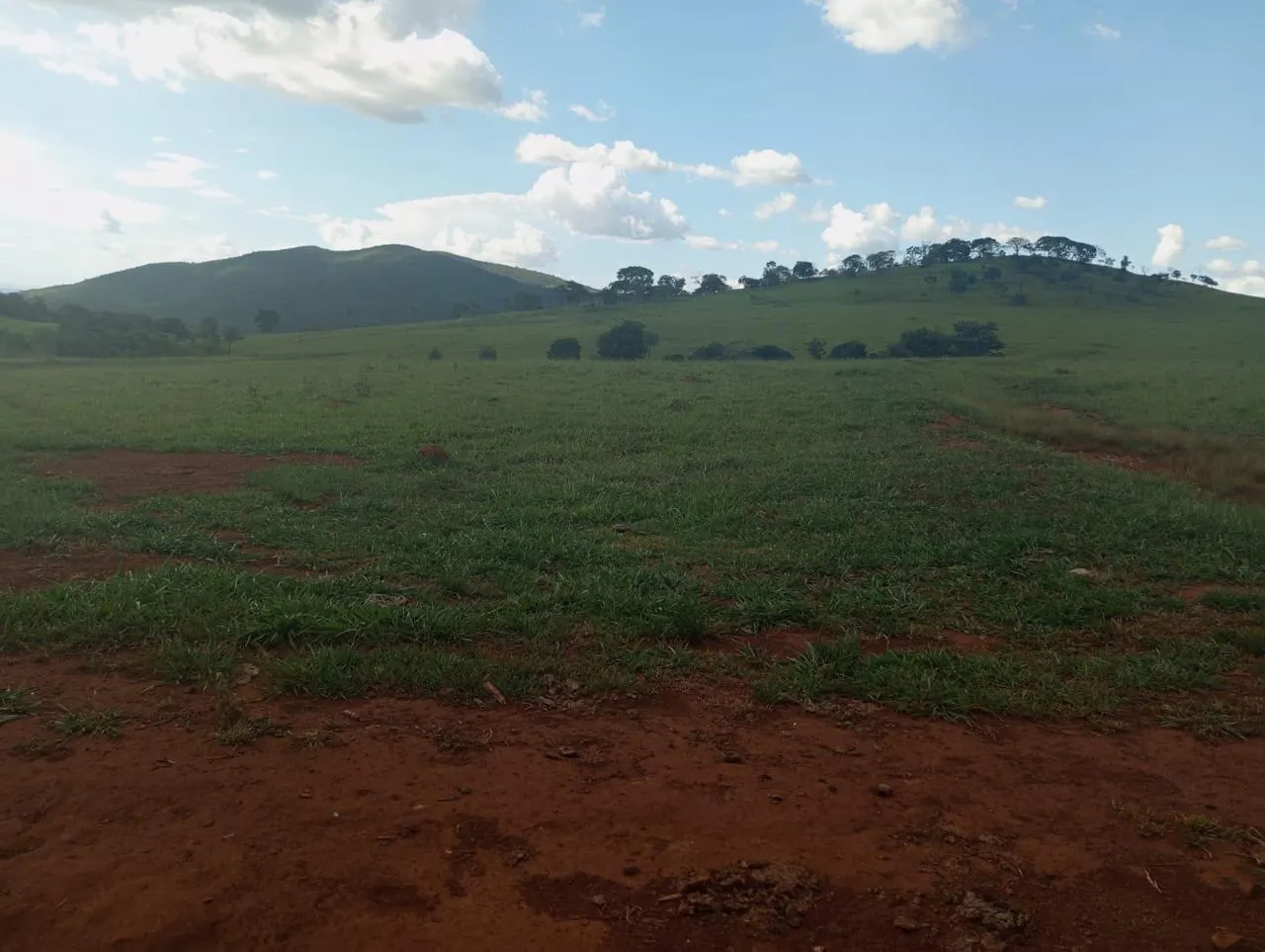 Fazenda à venda de 523 ha em Santa Rita do Novo Destino, GO, Brasil