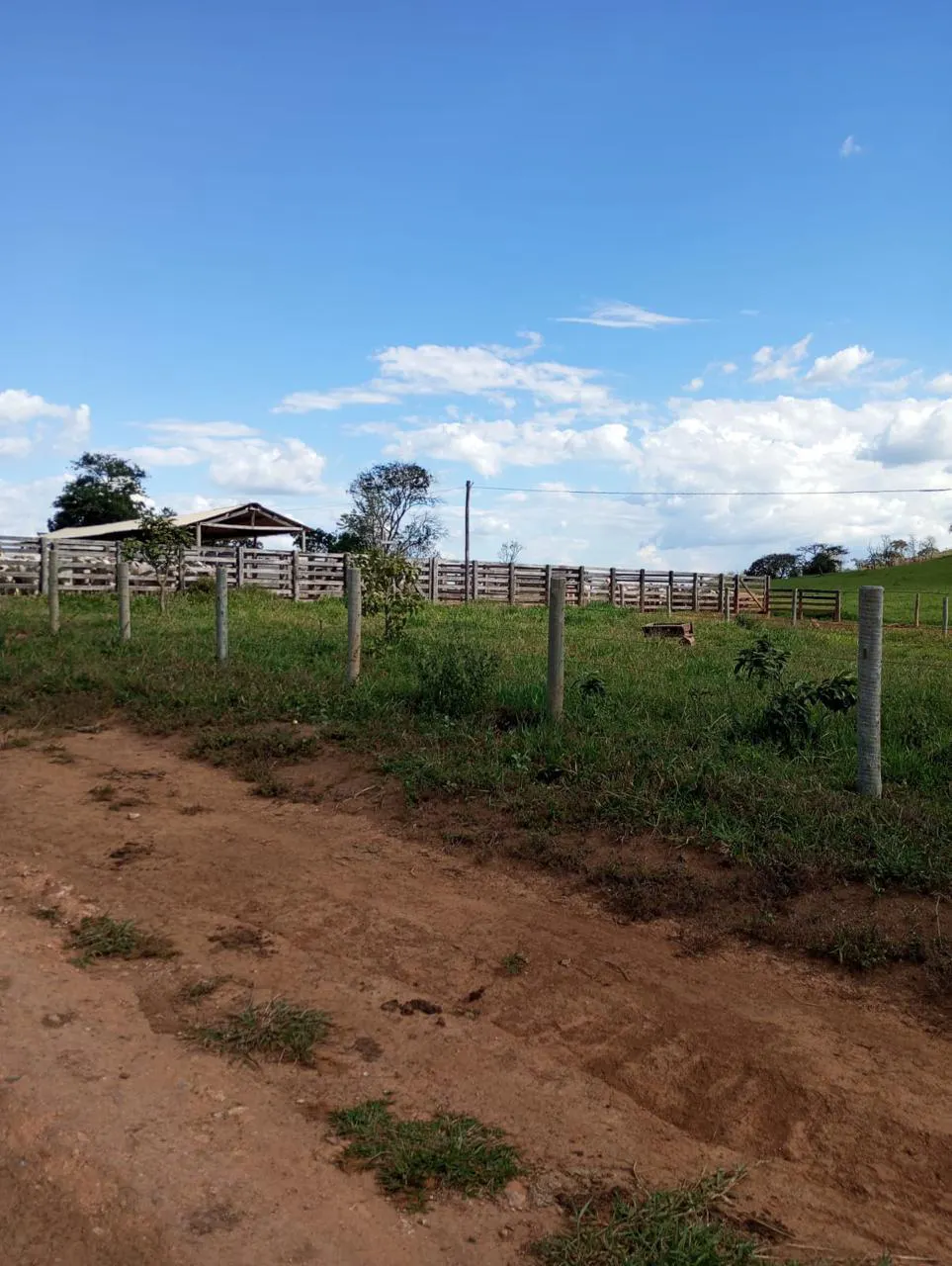 Fazenda à venda de 523 ha em Santa Rita do Novo Destino, GO, Brasil