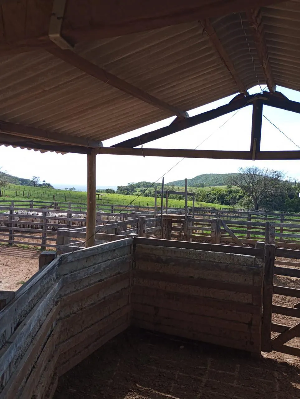 Fazenda à venda de 523 ha em Santa Rita do Novo Destino, GO, Brasil