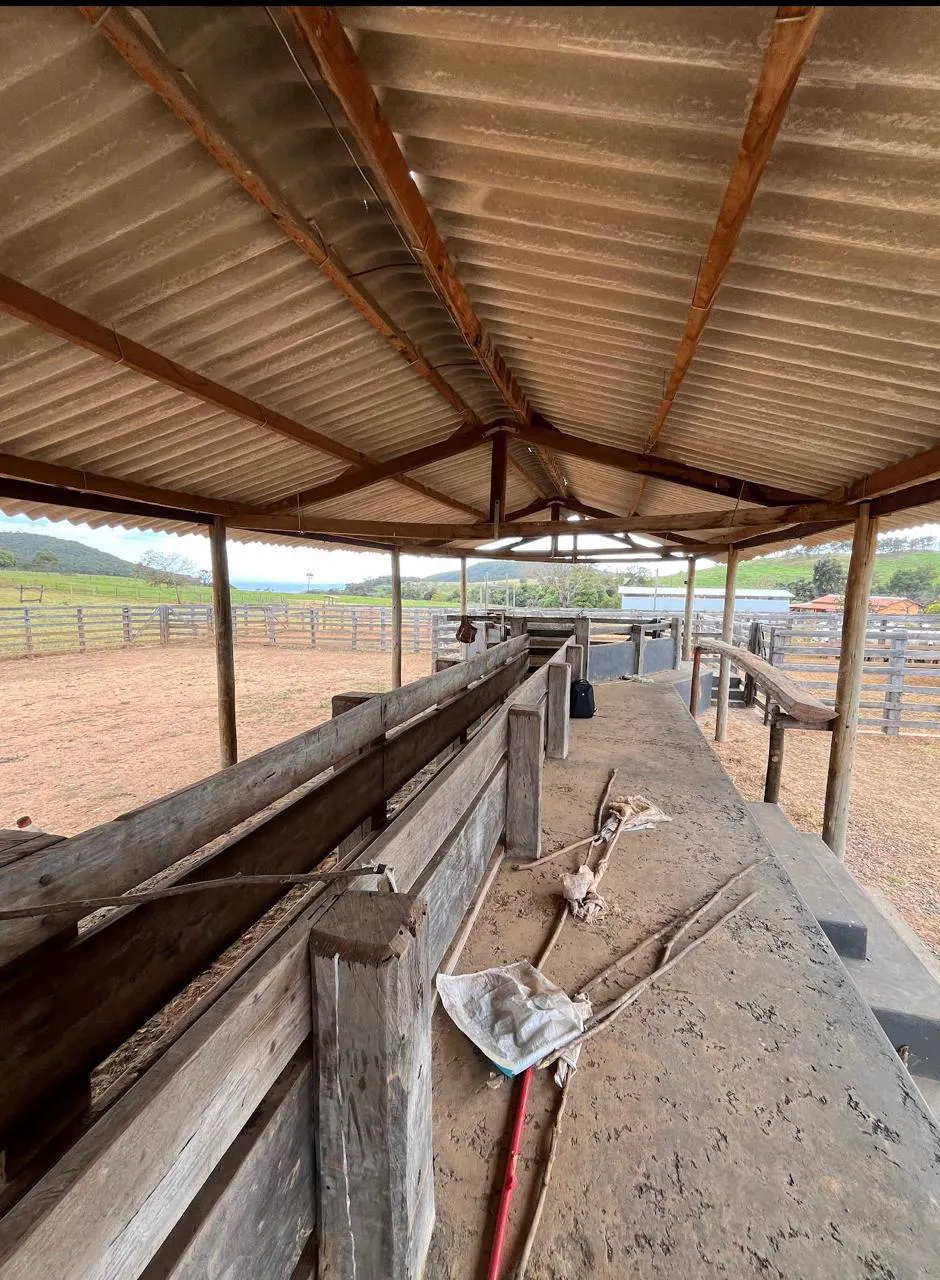 Fazenda à venda de 523 ha em Santa Rita do Novo Destino, GO, Brasil