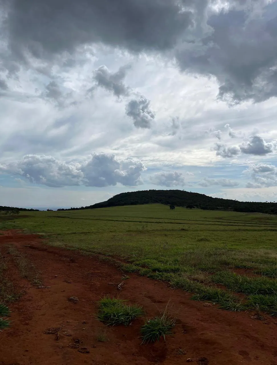 Fazenda à venda de 523 ha em Santa Rita do Novo Destino, GO, Brasil