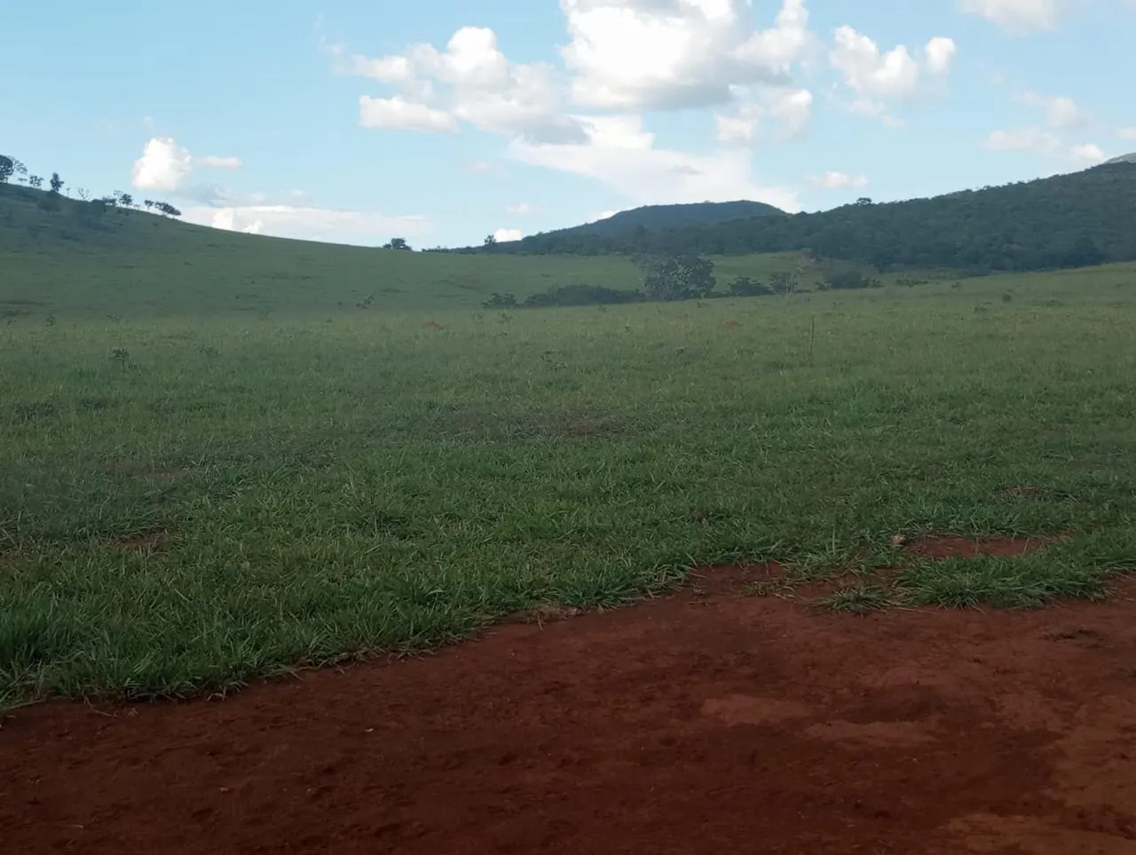 Fazenda à venda de 523 ha em Santa Rita do Novo Destino, GO, Brasil